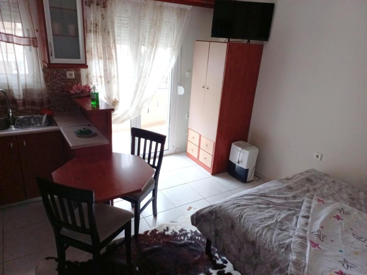 Ιάνθη Studio Apartment Karditsa Luaran gambar