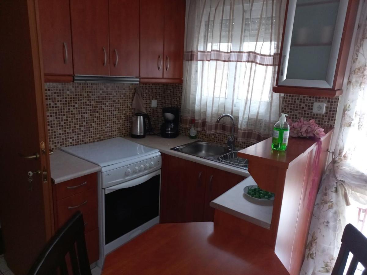 Ιάνθη Studio Apartment Karditsa Luaran gambar